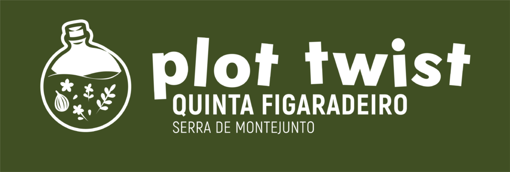 Logo da “Plot Twist – Quinta Figaradeiro”, com um frasco ilustrado contendo plantas e ervas sobre fundo verde.