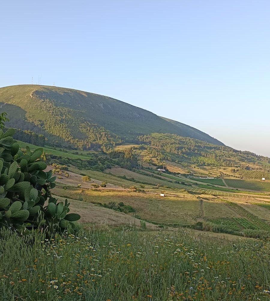 Plot Twist Quinta Figaradeiro - Uma mudança de vida